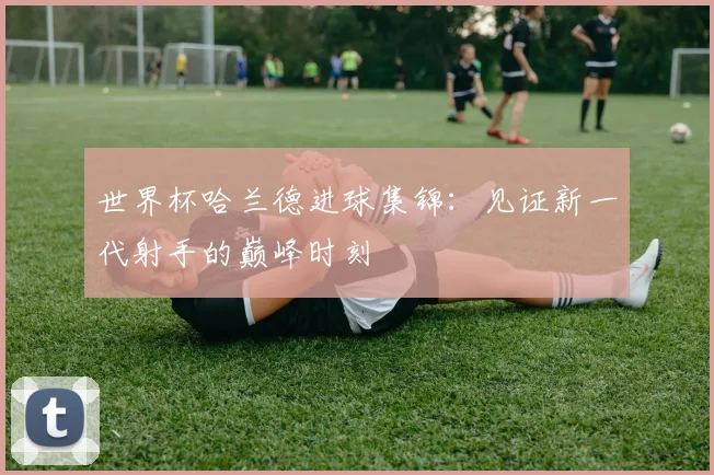 世界杯哈兰德进球集锦:见证新一代射手的巅峰时刻